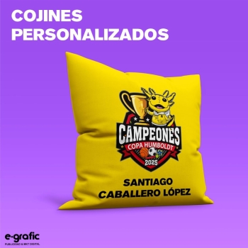 COJINES PERSONALIZADOS