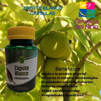 ZAPOTE BLANCO (Ener Green) 500MG 60 CAPSULAS