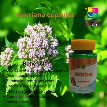 VALERIANA (Ener Green) 500MG 60 CAPSULAS